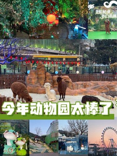 2025的动物园也太好玩了