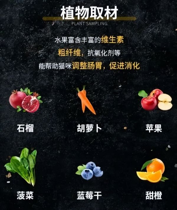囤菜背后被忽略的宠粮需求，将为691亿宠物市场带来哪些新机会？