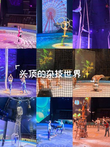上海马戏城|欢乐马戏，超适合亲子‍‍‍