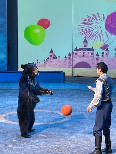 眼前的炫目表演