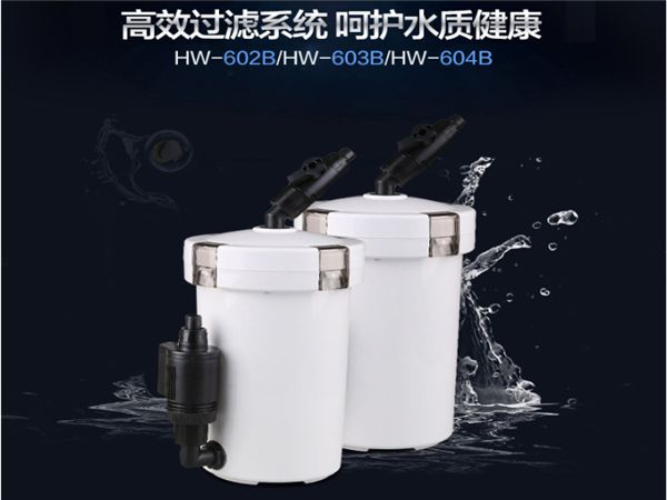 鱼缸过滤器多少钱 鱼缸过滤器怎么用 鱼缸过滤器不打氧冒水