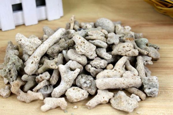 【清仓】鱼缸过滤材料十一合一陶瓷环细菌屋专业 滤材配方