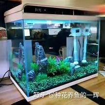 哪种鱼缸过滤器最好用？-有驾