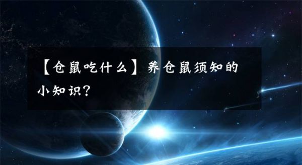 【仓鼠吃什么】养仓鼠须知的小知识？