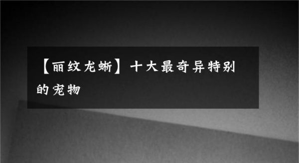 【丽纹龙蜥】十大最奇异特别的宠物文章配图