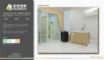 宠物食盒设计理念是什么