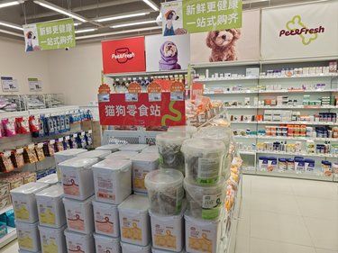 浦江欢乐颂附近的毛孩子有福啦