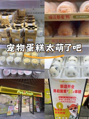 宠物经济起飞了