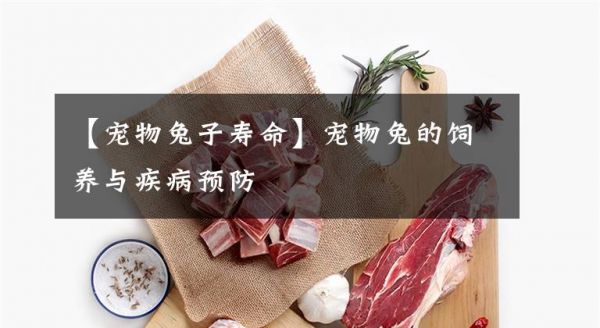 【宠物兔子寿命】宠物兔的饲养与疾病预防文章配图
