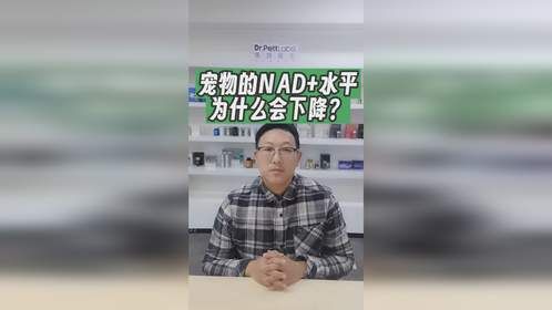 宠物的NAD+水平为什么会下降呢？