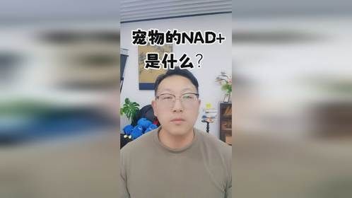 宠物NAD+是什么？