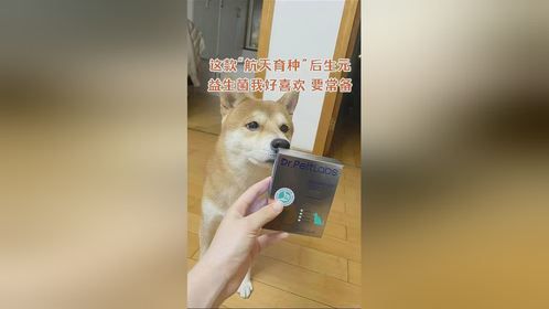 航天育种的这个后生元后生元，狗狗我啊真的好喜欢