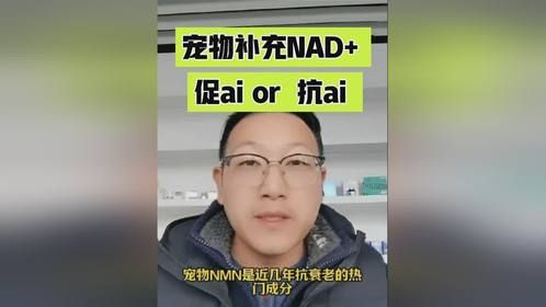 宠物补充NAD+ 是促AI 还是抗 AI ?