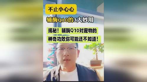揭秘！辅酶Q10对宠物神奇功效！你可能还不知道