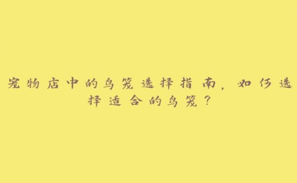 宠物店中的鸟笼选择指南,如何选择适合的鸟笼?