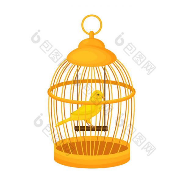 一只明亮的黄色金丝雀栖息在一个封闭的金笼