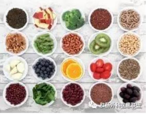 50天幼犬,易消化食谱推荐!