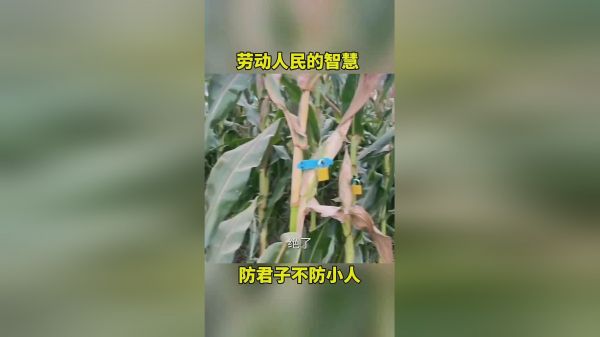 劳动人民的智慧，防君子不防小人！