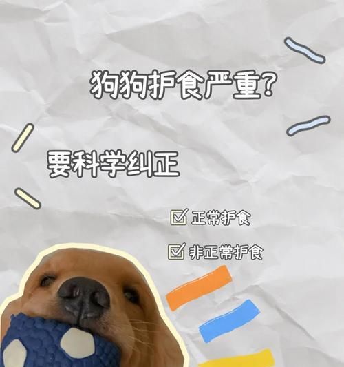 狗狗护食不吃狗粮应如何纠正？