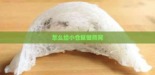 怎么给小仓鼠做燕窝