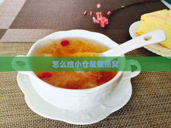 怎么给小仓鼠做燕窝