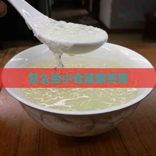 怎么给小仓鼠做燕窝