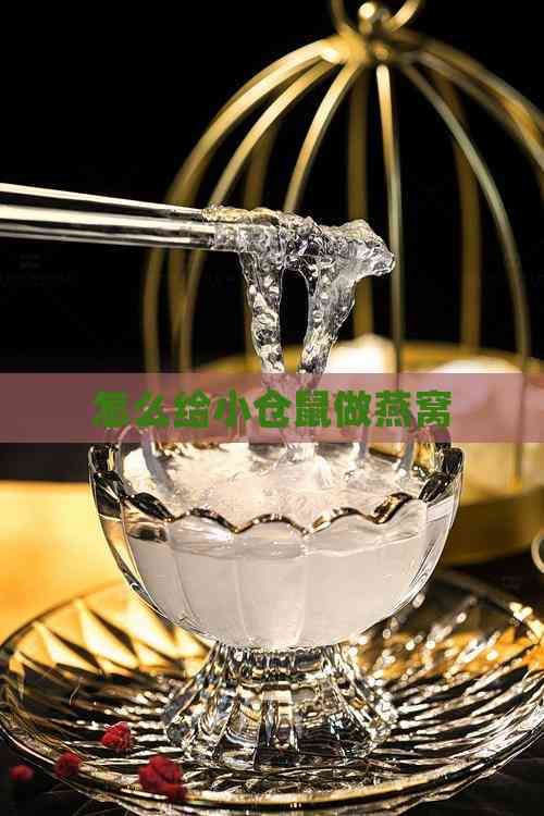 怎么给小仓鼠做燕窝