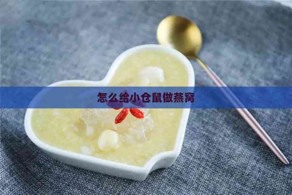 怎么给小仓鼠做燕窝