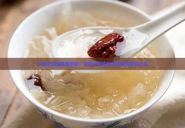 打造仓鼠的理想家园：手把手教你制作舒适温馨的小窝