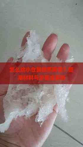 怎么给小仓鼠做燕窝呢？简单材料与步骤全解析