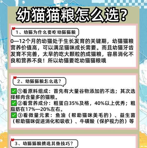 幼猫辅食猫粮如何挑选？有哪些注意事项？