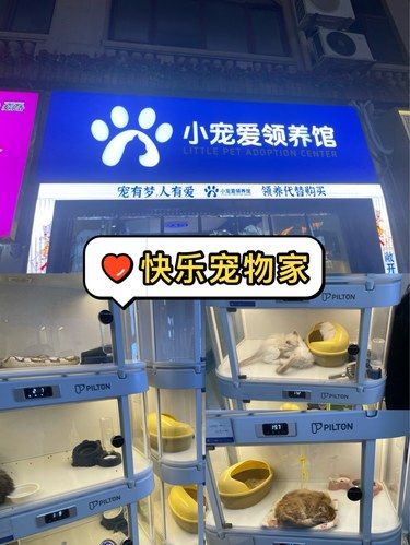 被小宠爱领养馆狠狠拿捏住了！