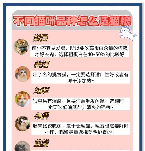 猫粮都可以加什么食物一起吃？搭配食物的正确方法和注意事项？