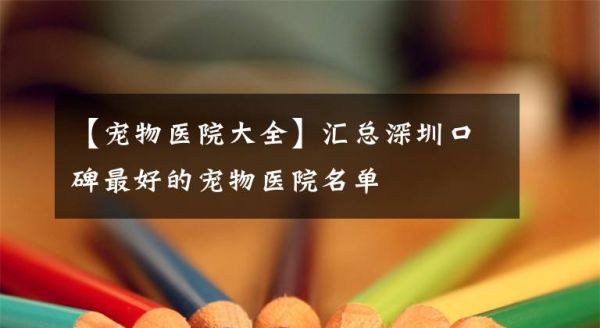 【宠物医院大全】汇总深圳口碑最好的宠物医院名单文章配图