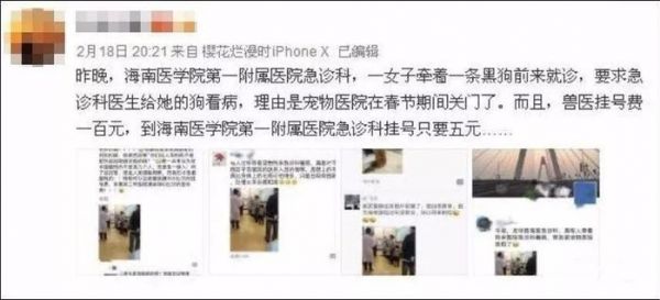女子带猫去人医院看病，只因宠物医院急诊挂号费要300元？！