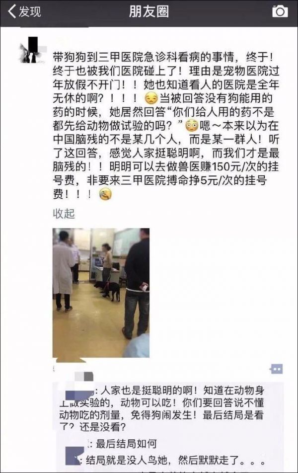 女子带猫去人医院看病，只因宠物医院急诊挂号费要300元？！
