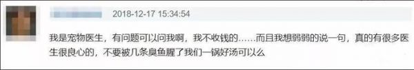 女子带猫去人医院看病，只因宠物医院急诊挂号费要300元？！