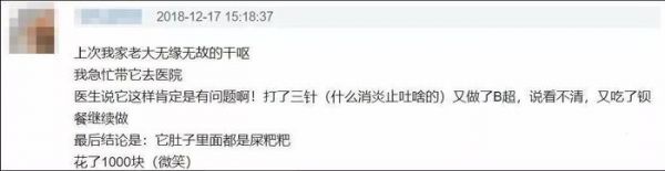 女子带猫去人医院看病，只因宠物医院急诊挂号费要300元？！