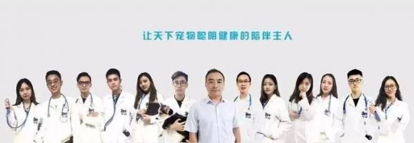 女子带猫去人医院看病，只因宠物医院急诊挂号费要300元？！