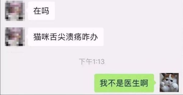 女子带猫去人医院看病，只因宠物医院急诊挂号费要300元？！