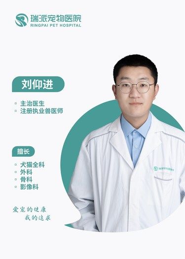 【派派宠医】刘仰进