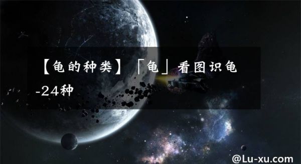 【龟的种类】「龟」看图识龟-24种