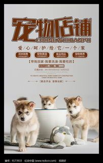 威海宠物：如何选择适合自己的宠物？威海宠物店排行榜
