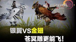 《剑网3》银翼苍冥雕VS金翅苍羽雕 全方面对比分析