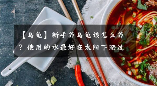【乌龟】新手养乌龟该怎么养？使用的水最好在太阳下晒过文章配图