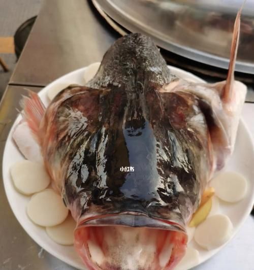 哪种鱼头里有鱼食？如何挑选适合猫咪食用的鱼头？