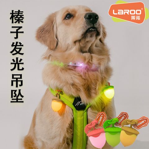 laroo莱诺狗狗夜行灯可充电走丢