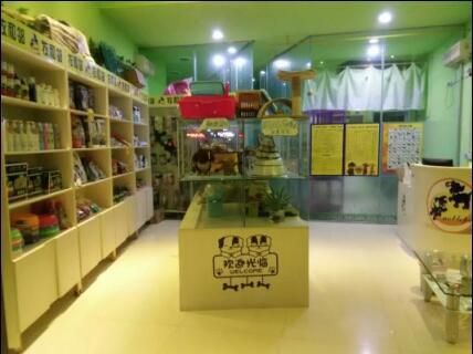 四川加盟猫咪宠物店，如何选择最火的品牌？