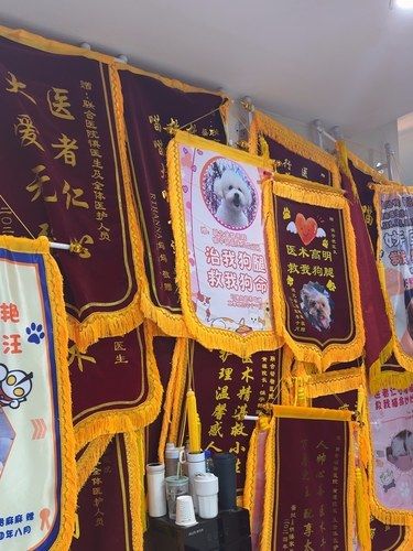 谢谢黄院长