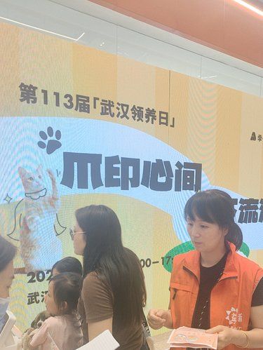 丁达尔 领养日